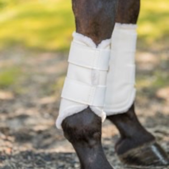 EuroPro Horse Boot- FRONT AND BACK- - Picture 2 of 4